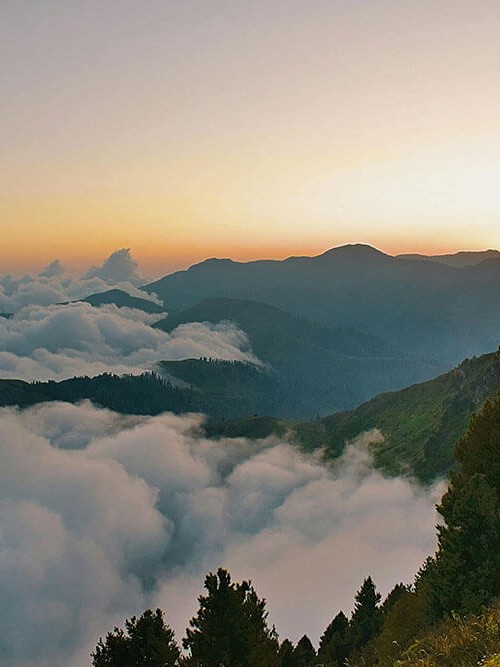 91浏览器倒着读更稳：先抓图表的口径有没有写在图里，再把时间窗写成起止（先把链条走通）